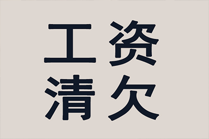武城清债公司